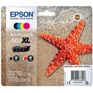 Multipack Epson C13T03A64010