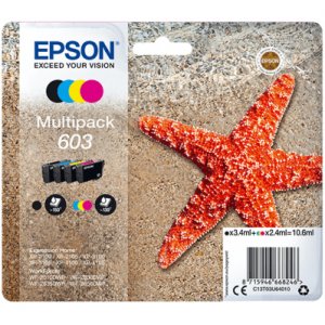 Multipack Epson C13T03U64010