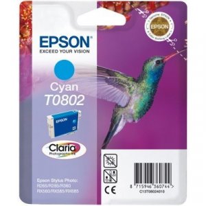 Cartuccia Epson C13T08024010