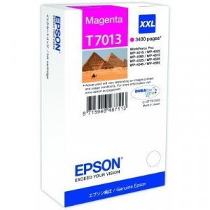 Cartuccia Epson C13T70134010