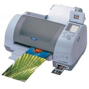 Epson Stylus Photo 895